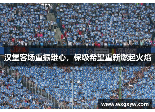 汉堡客场重振雄心，保级希望重新燃起火焰