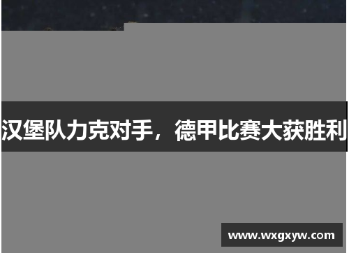 汉堡队力克对手，德甲比赛大获胜利